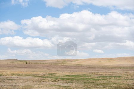 Foto de Una vista panorámica en Terry Bison Ranch, Wyoming - Imagen libre de derechos
