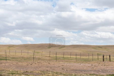 Foto de Una vista panorámica en Terry Bison Ranch, Wyoming - Imagen libre de derechos