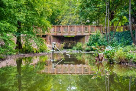 Una vista panorámica de la naturaleza en Aiken, Carolina del Sur