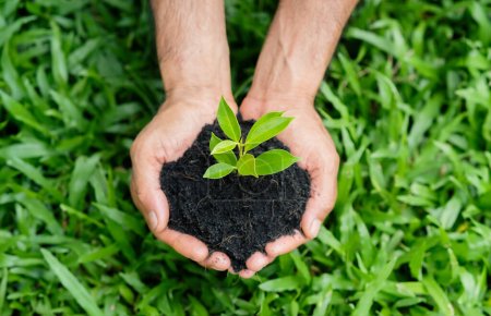 Foto de Las manos del hombre sosteniendo una tierra y una planta. ambiente, Día de la Tierra, salvar el concepto de la tierra. - Imagen libre de derechos