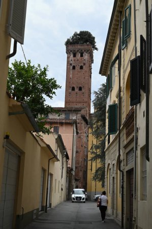Téléchargez les photos : Tour Guinigi de Lucques ville en Toscane - en image libre de droit