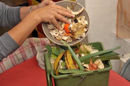 Foto de Alguien vaciando una placa de residuos orgánicos en un pequeño contenedor de compostaje en su cocina - Imagen libre de derechos