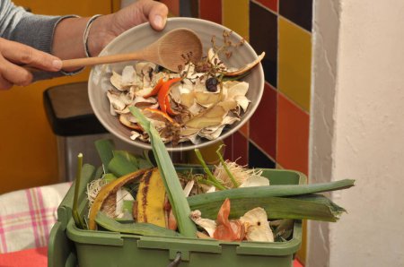 Foto de Alguien vaciando una placa de residuos orgánicos en un pequeño contenedor de compostaje en su cocina - Imagen libre de derechos