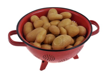 Patatas crudas sin pelar en un primer plano colador rojo sobre un fondo blanco 