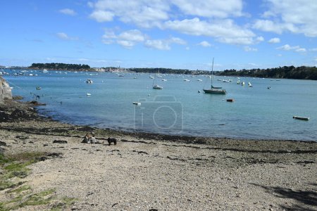 Couple from behind with a dog on a beach in Dinard