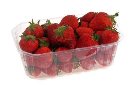 Plastic tray of Plougastel strawberries close-up isolated on white background