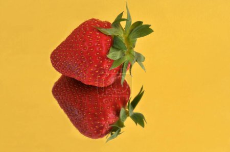 Plougastel strawberry close-up on a yellow background with its reflection 