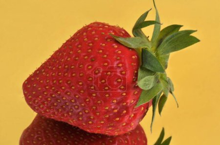 Plougastel strawberry close-up on yellow background 