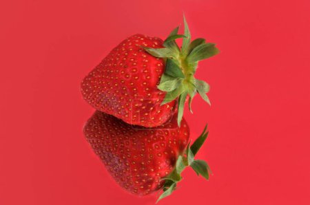 Plougastel strawberry close-up on a red background with its reflection
