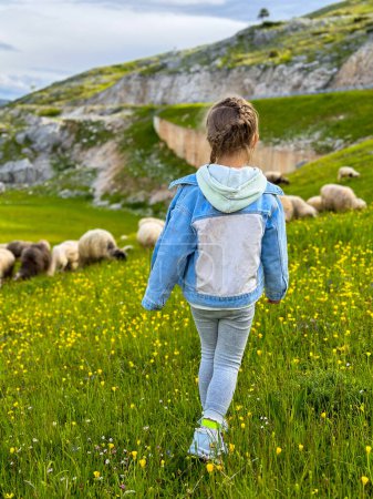 Téléchargez les photos : Petite fille marche dans la prairie avec troupeau de moutons - en image libre de droit