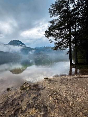 Téléchargez les photos : Vue du lac bleu avec le reflet des feuilles d'aiguilles et des montagnes à montenegro - en image libre de droit