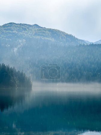 Téléchargez les photos : Vue du lac bleu avec le reflet des feuilles d'aiguilles et des montagnes à montenegro - en image libre de droit