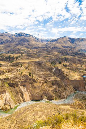 Téléchargez les photos : Colca Canyon, Pérou, Amérique du Sud. Incas pour construire des terrasses agricoles avec étang et falaise. L'un des canyons les plus profonds du monde - en image libre de droit