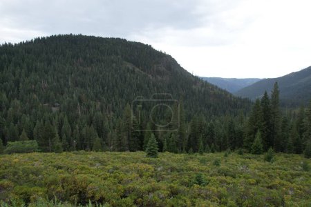 Photo for Aerial view of Sierra Butte at Eureka Plumas Forest, Lake Basin, California - Royalty Free Image