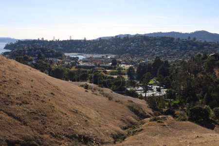 Photo of nature and city from St Hilary's preserve in Belvedere and Tiburon California