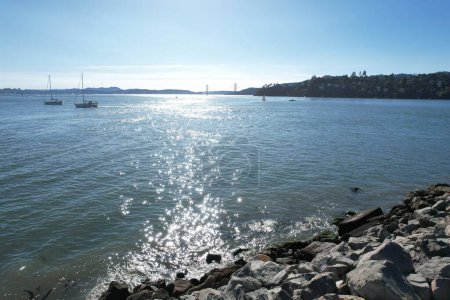Photo of San Francisco bay from shore line trail in Belveder and Tiburon California