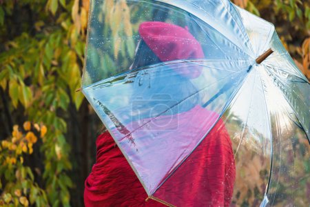Téléchargez les photos : Femme élégante en chapeau et écharpe se promène le long de la forêt humide le jour de pluie. Voyageur féminin jouit atmosphère d'automne regardant autour dans la campagne colorée vue de dos - en image libre de droit
