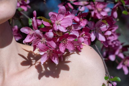 Téléchargez les photos : Jeune femme mince pose avec branche rose de fleurs de printemps sur l'épaule par jour ensoleillé. Sakura fleurs jetées ombre sur dame clavicule nue gros plan - en image libre de droit