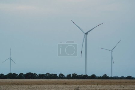 Photo for Windmills produce clean energy. Ecofriendly wind turbines generate power for supporting farms and electricity distribution substation with renewable energy - Royalty Free Image