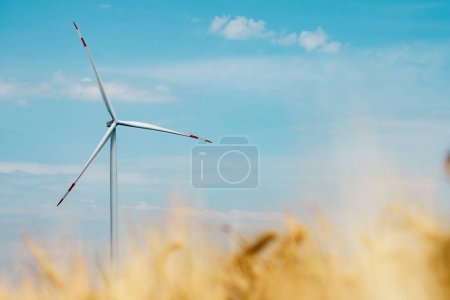 Photo for Wind turbine produces renewable energy. Wind mill propeller works generating clean and ecofriendly source of energy on wheat field - Royalty Free Image
