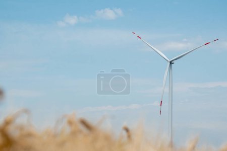 Foto de Molino de viento genera energía limpia. La turbina eólica produce energía renovable y ecológica en la estación del campo de trigo contra el cielo azul - Imagen libre de derechos