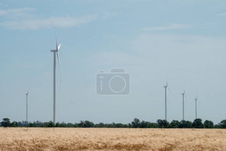 Téléchargez les photos : Les éoliennes écologiques produisent de l'énergie. Les éoliennes produisent de l'énergie renouvelable pour soutenir les terres agricoles et les sous-stations de distribution d'électricité entre les champs - en image libre de droit