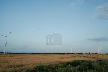 Téléchargez les photos : Champ de blé avec moulins à vent générant de l'énergie propre. Des éoliennes respectueuses de l'environnement produisent des énergies alternatives et renouvelables dans les campagnes - en image libre de droit