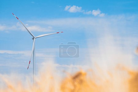 Foto de La hélice de molino genera energía renovable. La hélice de turbina eólica produce energía limpia y ecológica para las necesidades de las granjas bajo el cielo azul - Imagen libre de derechos