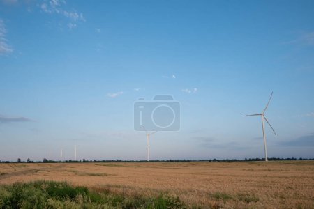 Foto de Los molinos de viento generan energía limpia. Las turbinas eólicas producen energía renovable para subestaciones de distribución de electricidad y líneas de transmisión entre campos - Imagen libre de derechos