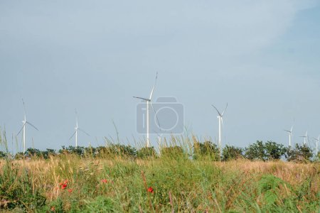 Foto de Las turbinas eólicas generan energía limpia. Molinos de viento ecológicos que producen energía renovable a partir de fuentes naturales en enormes tierras de cultivo iluminadas por el sol - Imagen libre de derechos