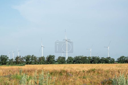 Foto de Los molinos de viento ecológicos producen energía renovable. Las turbinas eólicas recrean energía limpia con energía eólica para su uso en granjas agrícolas - Imagen libre de derechos