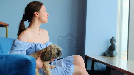 Téléchargez les photos : Jeune femme en robe bleue tient shih tzu chien pour la séance photo. Femme met shih tzu doggy sur les genoux et pose face à la fenêtre à la prémisse de repos - en image libre de droit