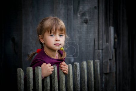Téléchargez les photos : Une jolie petite fille regarde par derrière une clôture en bois rustique. - en image libre de droit