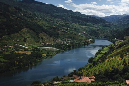 Dunkle Wasser des Douro-Flusses und Weinberge im Douro-Tal, Nordportugal.