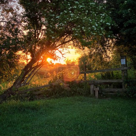 Téléchargez les photos : Coucher de soleil sur un piquet en bois ressemblant à un portail vers un monde fantastique - en image libre de droit