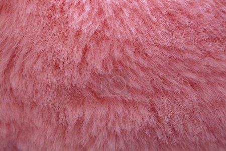 Téléchargez les photos : Pink velour plush cloth textured background for design purpose - en image libre de droit