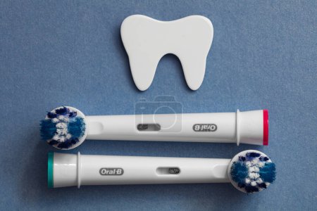Téléchargez les photos : Francfort, Allemagne - 1 mai 2021 : Têtes de brosse à dents électriques Oral-B - en image libre de droit