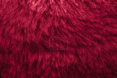 Téléchargez les photos : Velours rouge tissu peluche fond texturé à des fins de conception - en image libre de droit