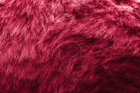 Photo for Red velour plush cloth textured background for design purpose - Royalty Free Image