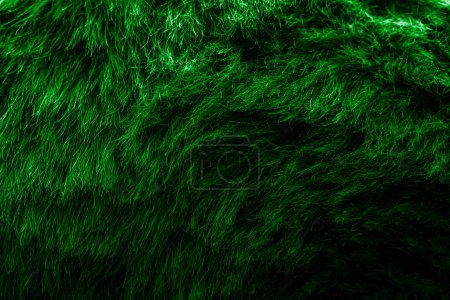 Téléchargez les photos : Velours vert tissu peluche fond texturé à des fins de conception - en image libre de droit