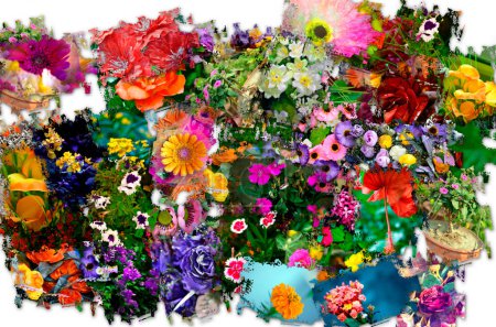 Foto de Collage de flores hecho de muchas flores y pétalos diferentes. - Imagen libre de derechos
