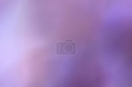 Photo for Violet bokeh background from nature under tree shade, stock photo - Royalty Free Image