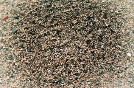 Foto de Primer plano de fondo de textura de arena con pequeños guijarros y conchas - Imagen libre de derechos