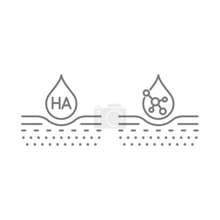 Illustration for Hyaluronic acid skin treatment line vector icon. Hyaluronan anti aging drop therapy and filler. - Royalty Free Image