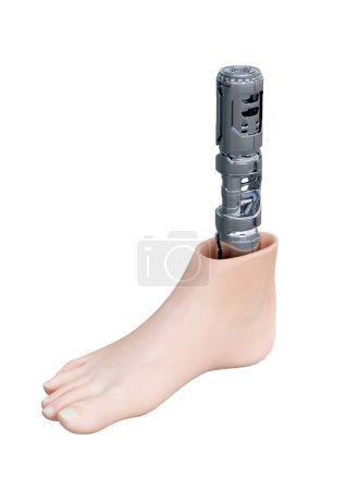 Photo for Advanced technology human leg orthopedic prosthesis isolated on white background. 3d illustration - Royalty Free Image