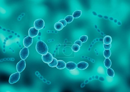 La colonia de Leuconostoc es una bacteria del ácido láctico responsable de fermentar la col en chucrut. Ilustración 3D