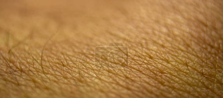 Photo for Macro healthy human skin. Dermatology pattern concept. Closeup human skin background. Caucasian skin. Abstract dermatitis surface - Royalty Free Image