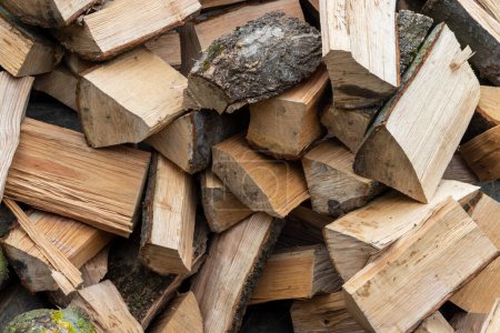 Photo for Fuel crisis. Firewood lying down without order. The high price of wood in the forest - Royalty Free Image