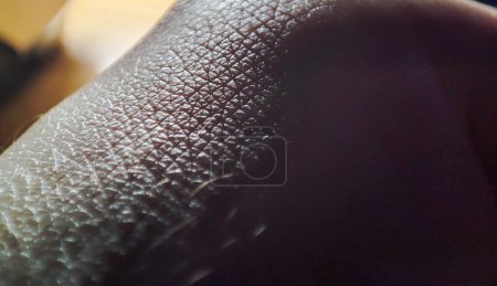 Foto de Primer plano macro que muestra la textura de la mano humana con un enfoque dermatológico. - Imagen libre de derechos