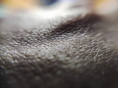 Photo for Macro shot of healthy human skin showcasing its detailed texture. - Royalty Free Image